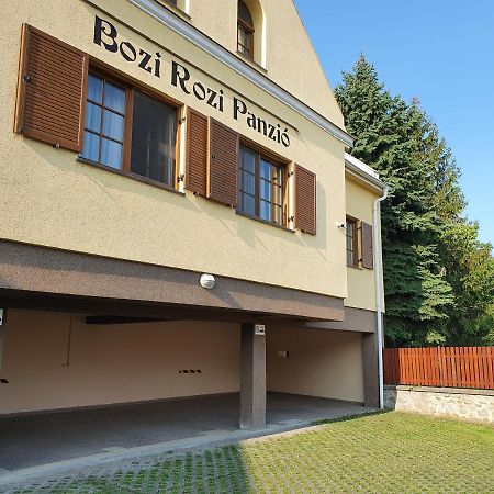 Bozi Rozi Panzio Hotell Fertőboz Eksteriør bilde